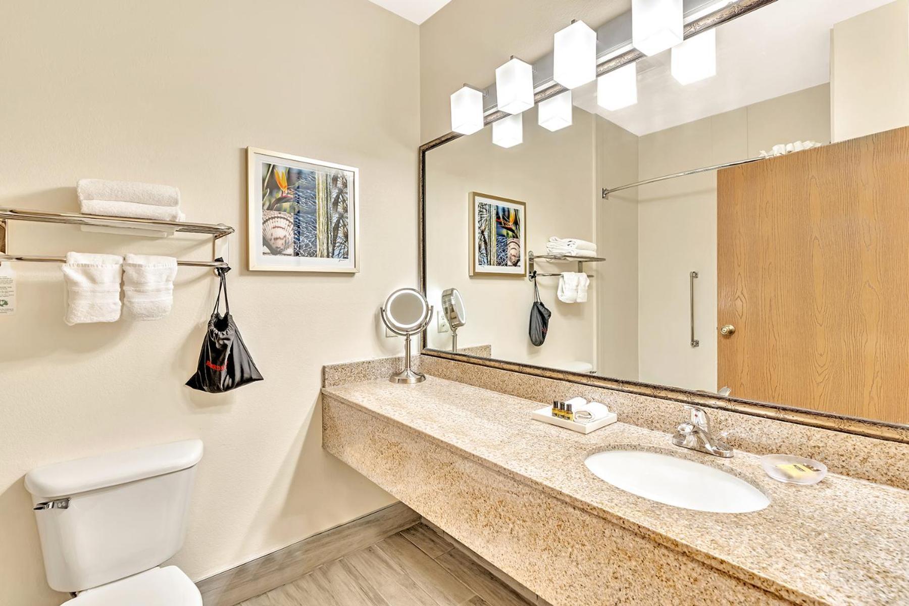 Best Western Plus Lewisville Flower Mound Habitación foto